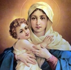 Meet your Posher, Rosy